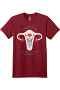 Vegan Feminist Compassion